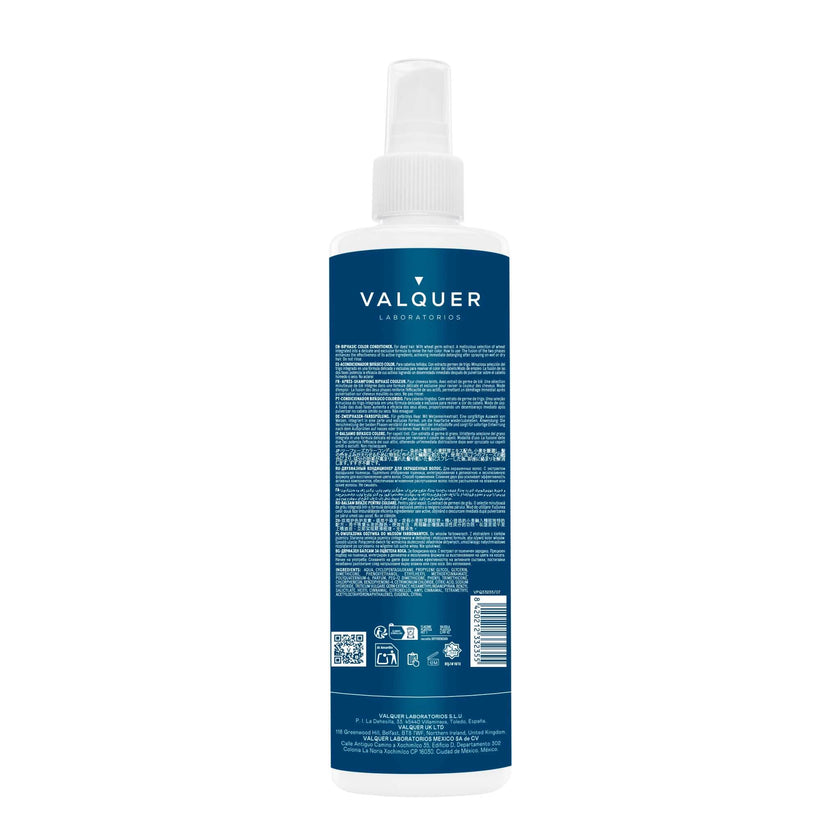 Revitalisant biphasique sublimateur de couleur et de brillance pour cheveux colorés - 300 ml