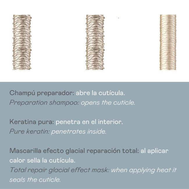abre la cuticula, penetra en el interior y sella