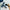 Teinture 1.A Bleu Noir - 60 ml