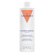 Champú de placenta vegetal Valquer con germinados de soja y trigo en formato de 500 ml