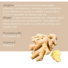 Charger l&#39;image dans la galerie, con jengibre y provitamina B5
