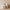 mascarilla_facial_calmante-origins